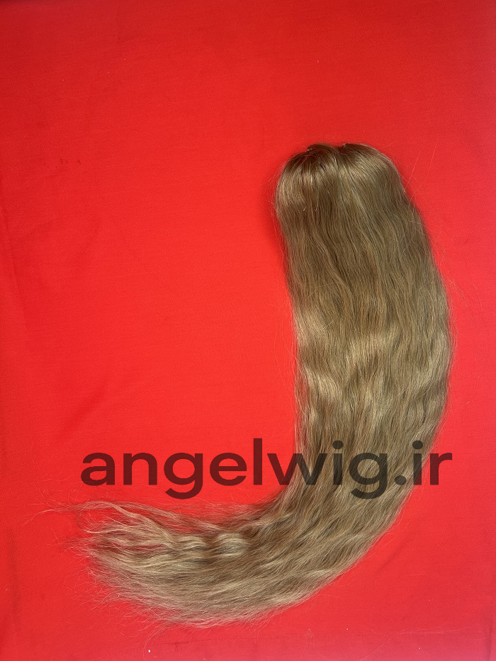 دم اسبی